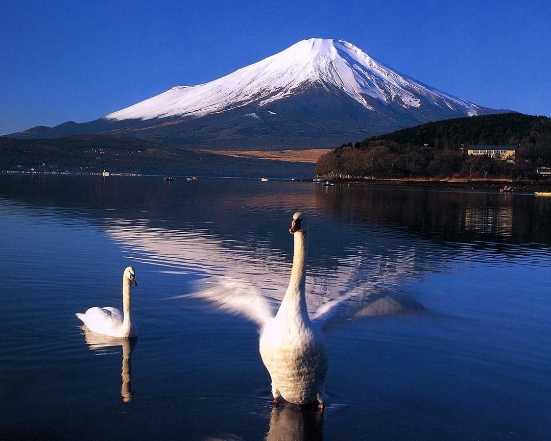 Resort Inn Golf Gotemba (Adults Only) Dış mekan fotoğraf